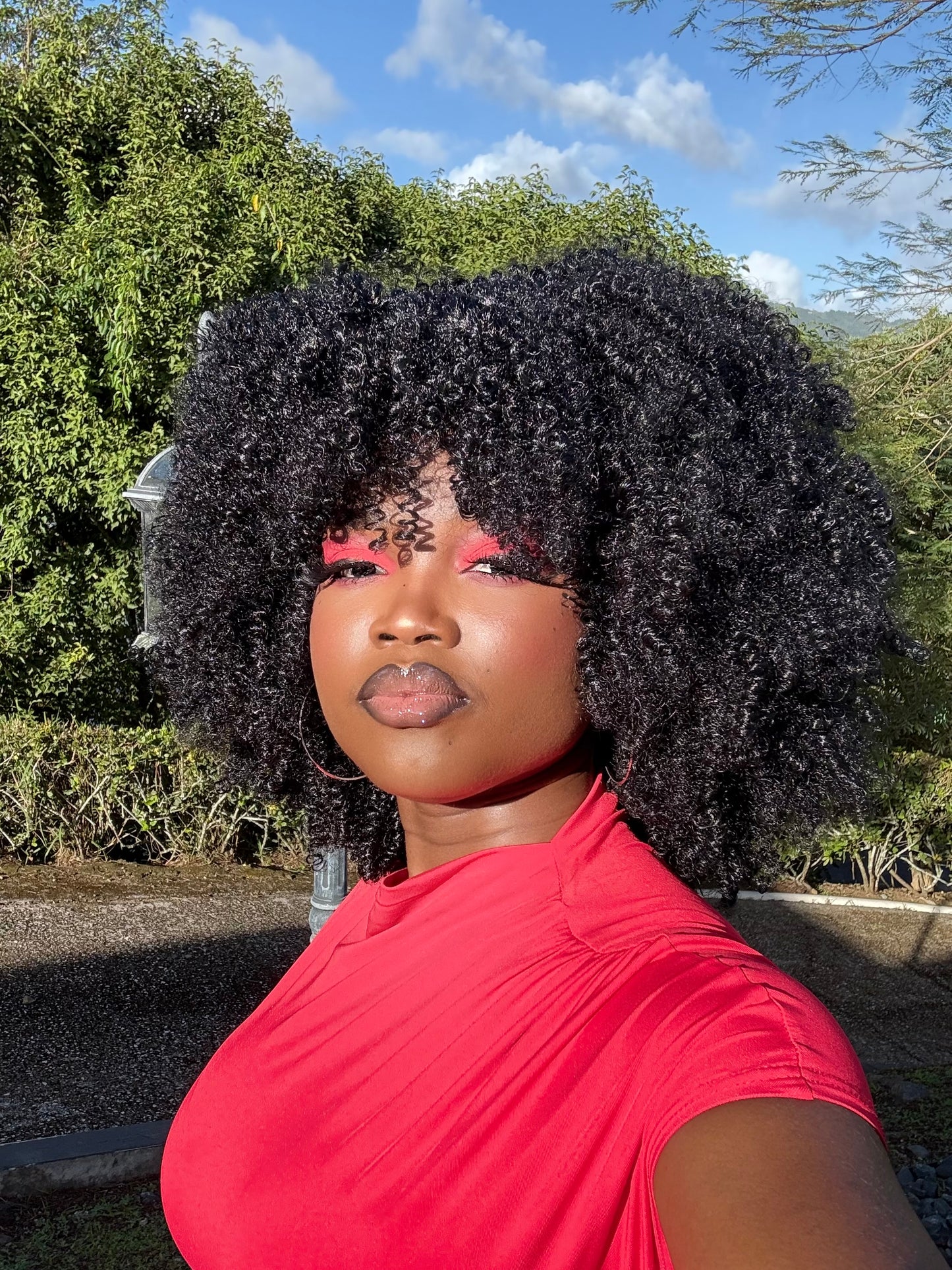 Afro Kinky Curly Wig