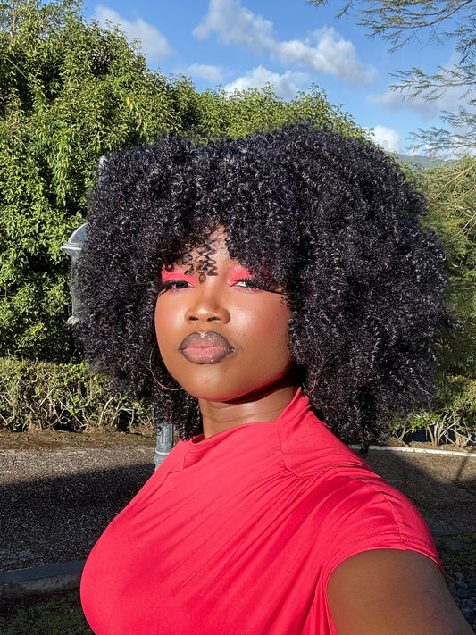 Afro Kinky Curly Wig